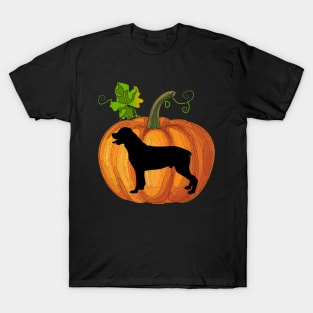 Rottweiler in pumpkin T-Shirt